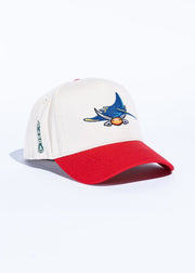 Reference Buccarays Snapback Hat