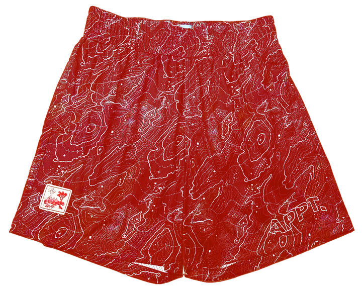 By Appointment Only Topo Short