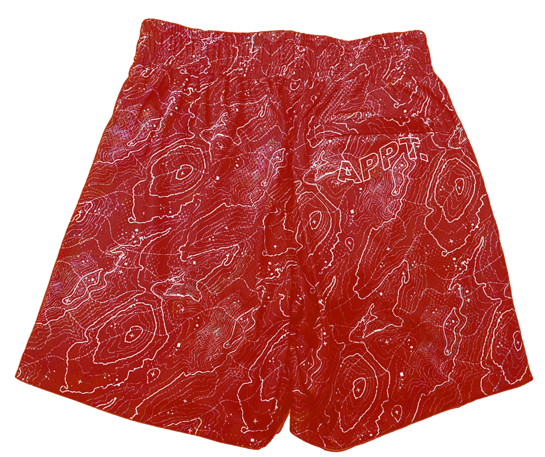 By Appointment Only Topo Short