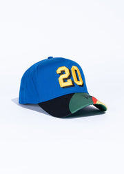 Reference Gordon Cap Snapback Hat