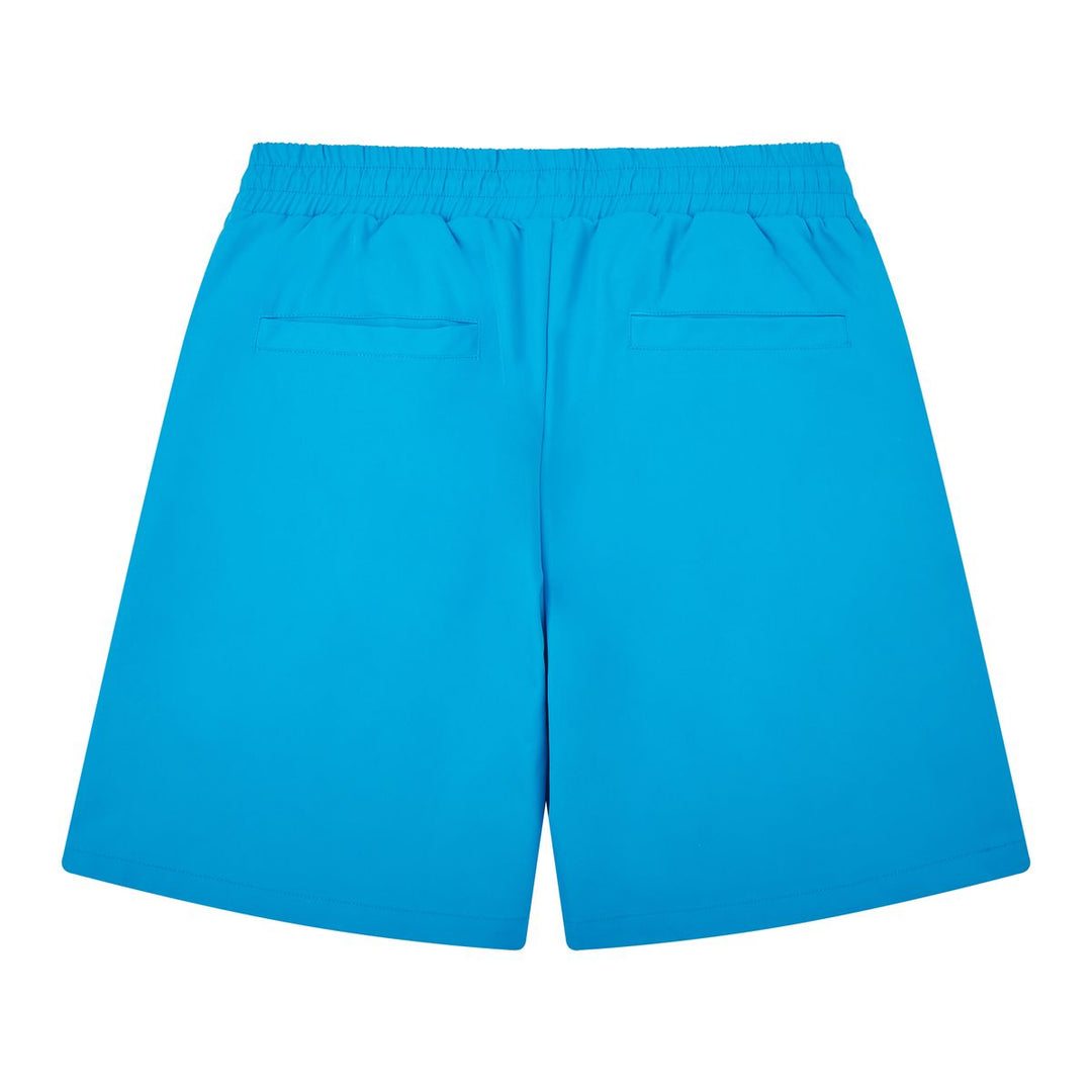 Almost Someday Prague Nylon Shorts