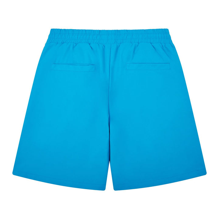 Almost Someday Prague Nylon Shorts