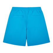 Almost Someday Prague Nylon Shorts