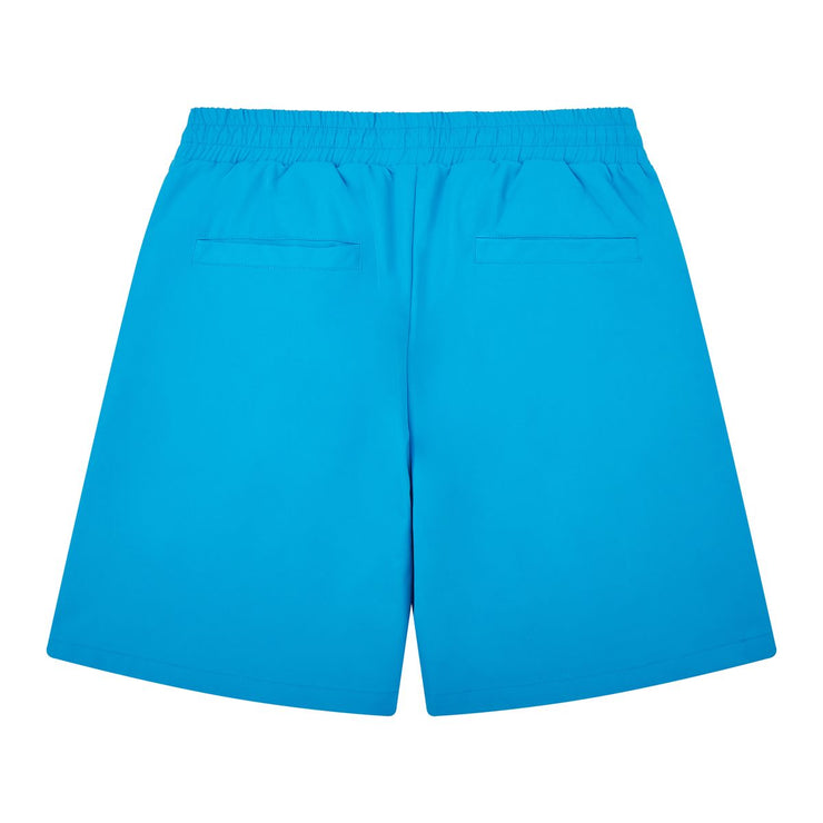 Almost Someday Prague Nylon Shorts
