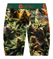 Ethika | Big Dope