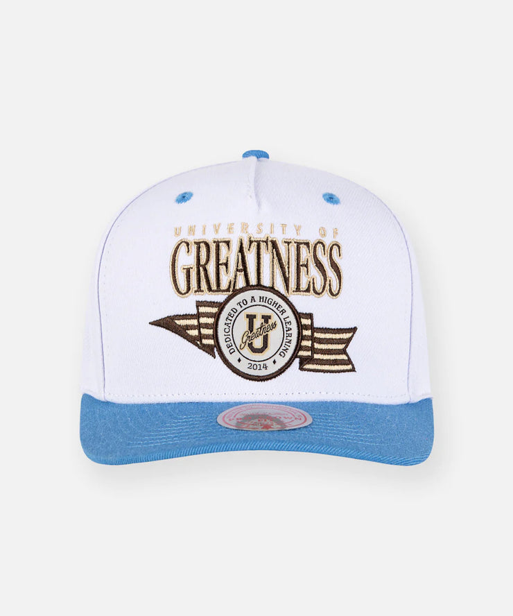 Paper Planes University of Greatness A-Frame Curved Visor Snapback Hat