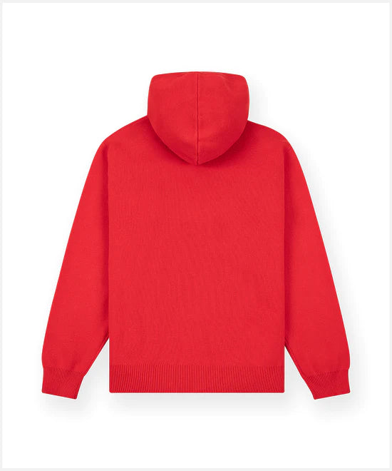 Paper Planes Birdseye Hoodie