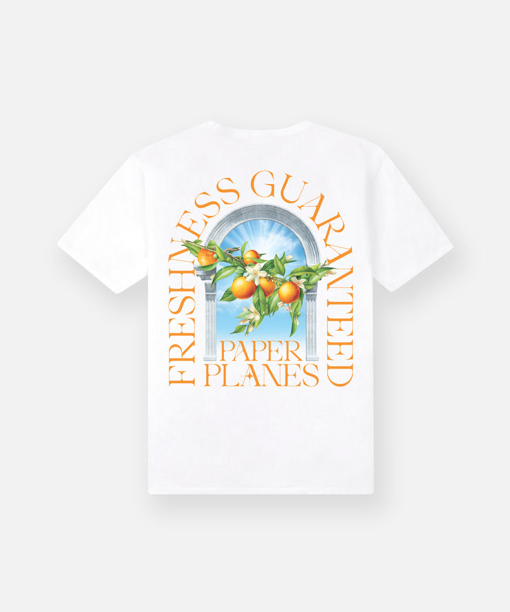 Paper Planes Freshness Tee