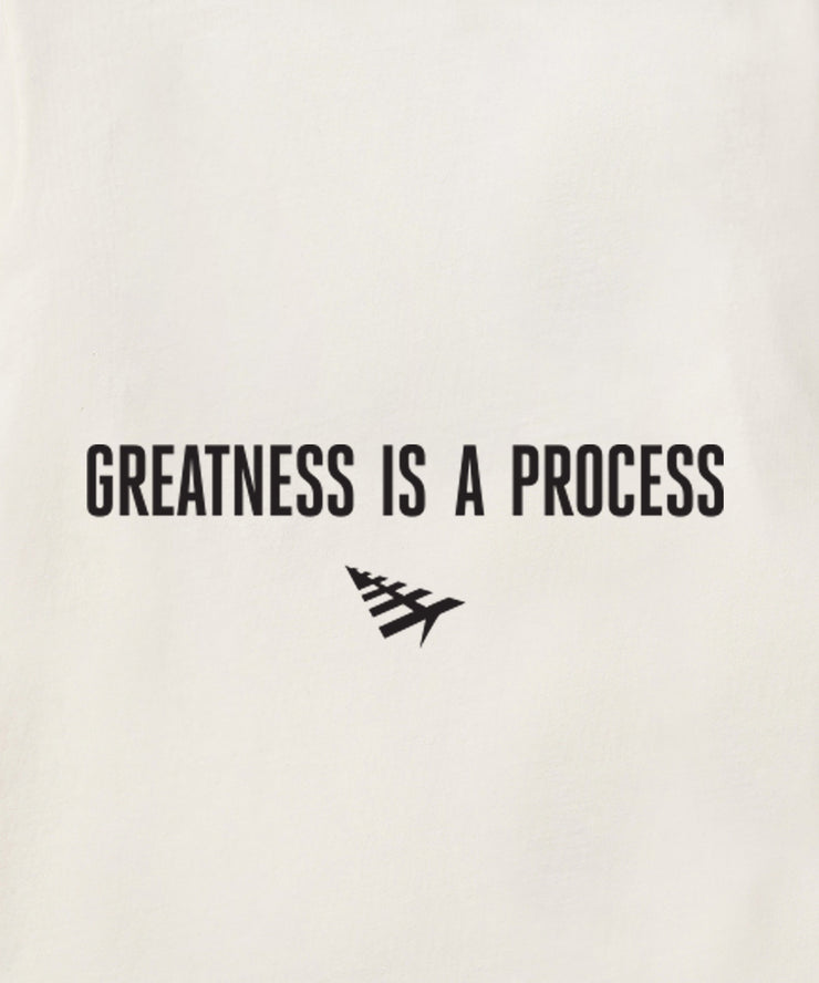 Paper Planes Greatness Is A Process Tee