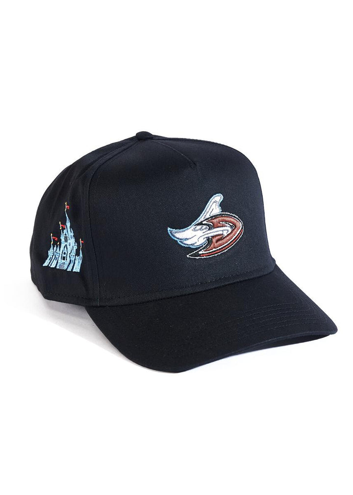 Reference Dangels Snapback Hat