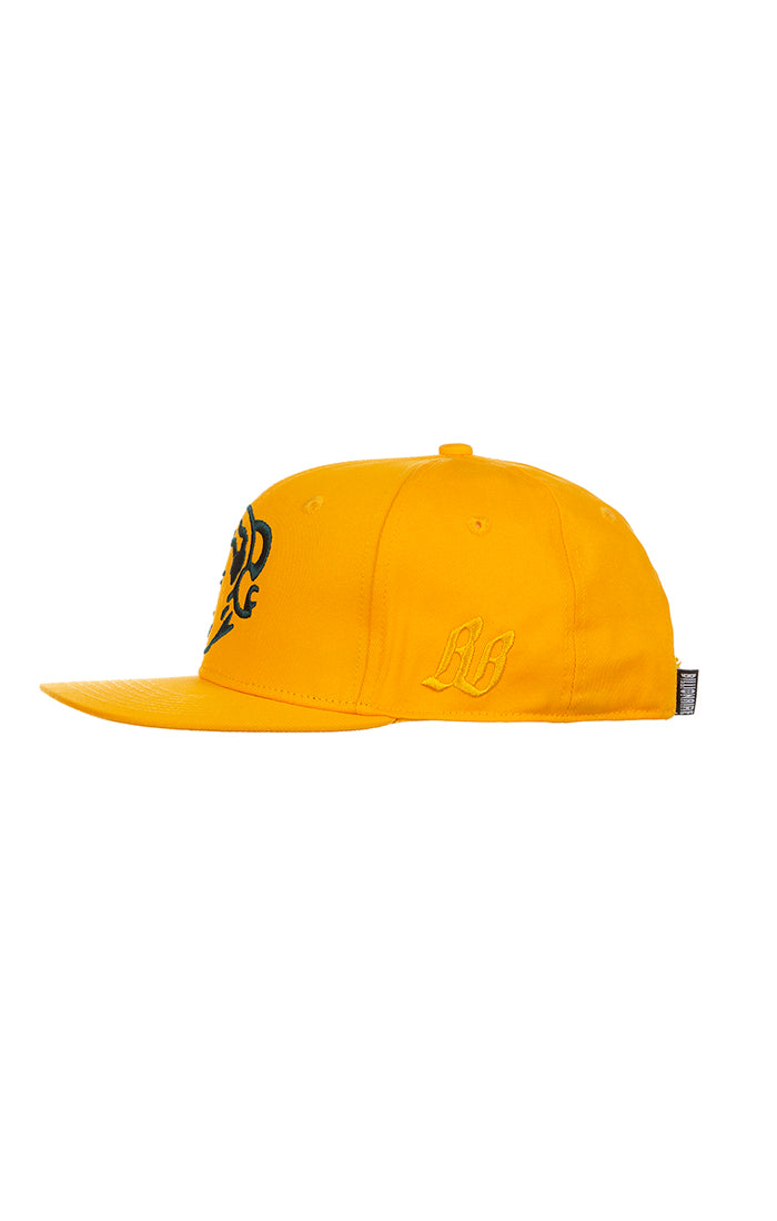 Billionaire Boys Club BB Classic Astro Snapback